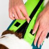 Jobe Pet Vest Lime Teal (Velikost XS)