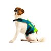Jobe Pet Vest Lime Teal (Velikost XS)