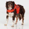 NRS CFD Dog (Velikost S, Barva Orange)